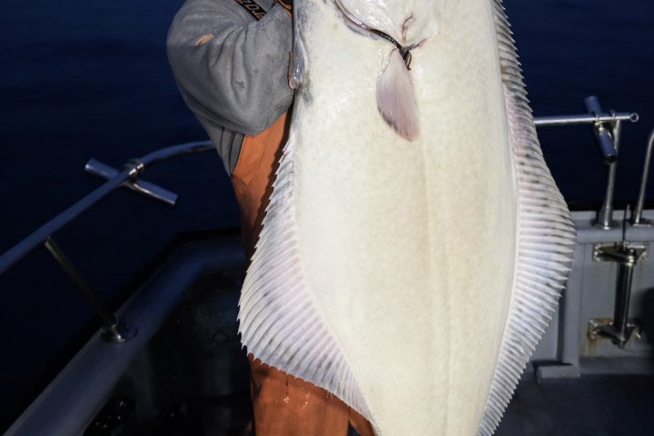 Person in orange overalls holding a large white fish on a boat at dusk.