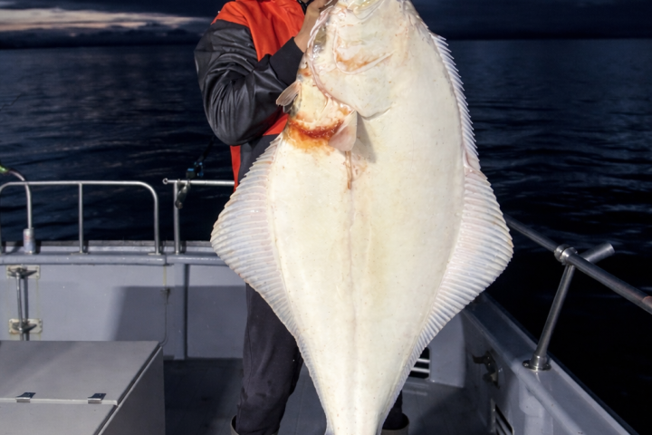 Person holding a large fish on a boat at dusk, wearing a red and black jacket and cap.